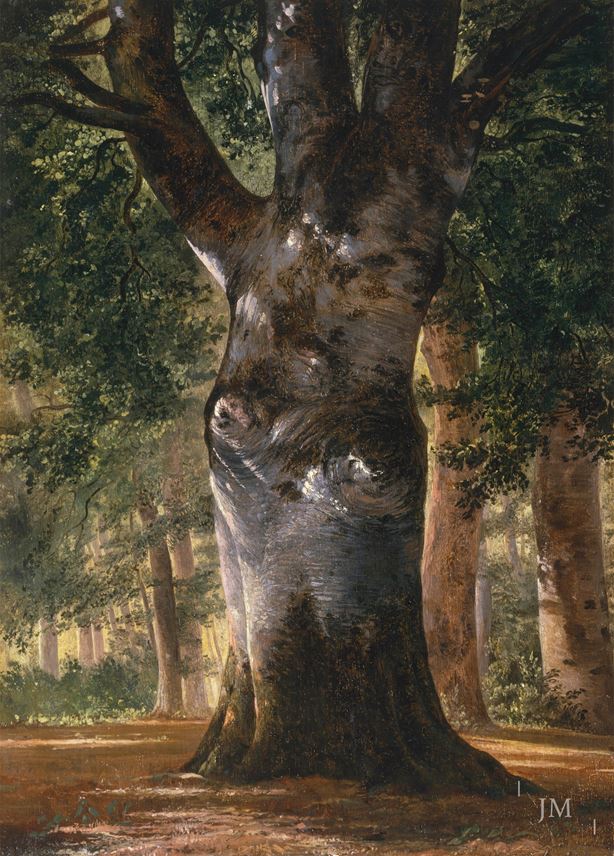 Alexandre Calame - Trunk of a Beech Tree | MasterArt